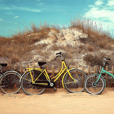Bicycles on a beach